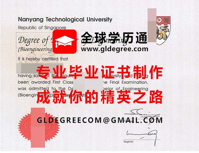 南洋理工大学文凭