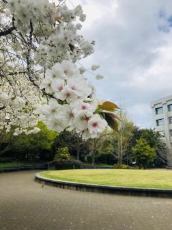 坎特伯雷大学