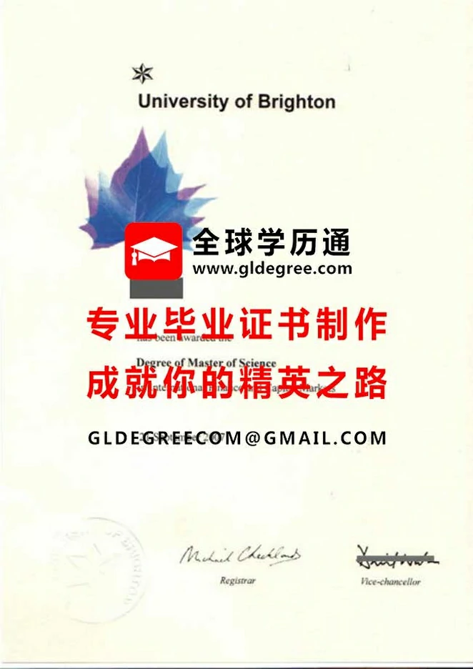 布莱顿大学毕业证影本|制作英国文凭|代办英国学位证书